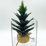 Bath & Body Works Pine Tree Wallflower Fragrance Plug. Fixed Price $16.95.