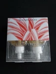 Slatkin Co Wallflowers Twisted Peppermint. Fixed Price $14.99.