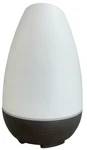 Healthsmart Essential Oil Diffuser Cool Mist Humidifier And Aromatherapy. Fixed Price $19.95.