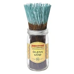Wild Berry Incense Sticks - Ocean Wind Invigorating Citrus Scent With Jasmi.... Fixed Price $36.16.
