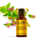 Pennyroyal Essential Oil - 100% Pure Natural Sizes 3ML To 8OZ Aromatherapy. Fixed Price $11.95.