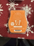 Coral Waters #65993 - Scentsy Wax Bar. Fixed Price $5.00.