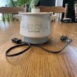 West Bend Cottagecore Blue Floral Electrical Potpourri Simmer 24 Ounce. Fixed Price $24.99.