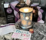 Scentsy Lampshade Collection Silver Frost Wax Warmer Glass Snowflakes Broad Base. Fixed Price $55.19.