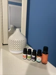 White Ceramic Cutout 300ML Large Diffuser - Threshold With Essential Oils. Fixed Price $20.00.
