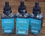 Lot 3 Jasmine Disney Princess Wallflower Refill Bulbs Bath & Body Works. Fixed Price $34.99.
