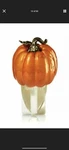 Bath & Body Works Pumpkin Nightlight Wallflower Plug Autumn Fall Thanksgiving. Fixed Price $19.99.