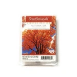 Scentsationals Fall 2019 Limited Edition Scented Wax Cubes, 2.5 Oz (autumn Air). Fixed Price $9.99.