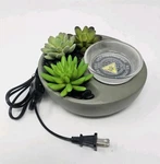 Scentsy Little Garden Succulents Plants Full-size Element Electric Wax Warmer. Fixed Price $14.95.