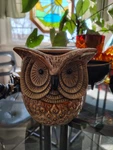 New Scentsationals Spotted Owl Full Size Warmer, Scented Wax Melt Retired. Fixed Price $15.00.