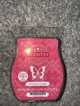 Scentsy Wax Bars Christmas Cottage 3.2 Fl Oz Melts Warmer New Favorite. Fixed Price $8.87.
