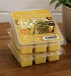 Honeysuckle Pineapple Wax Melts Scentsationals 5OZ Tropical Cubes (2 Pack). Fixed Price $19.99.