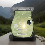 Scentsy Bar Sunburst Bamboo Wax Melt 3.2 Fl Oz Of The Month 74652. Fixed Price $9.00.