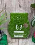 Scentsy Wax Bar Current Rare Limited Edition Discontinued Melts. Fixed Price $12.75.