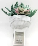 Bath & Body Works Succulent Greenery Scent Control Nightlight Wallflowers Plug. Fixed Price $14.90.
