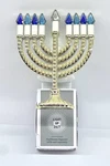 New! Holiday! Bath & Body Works Hanukkah Wallflowers Light Up 24/7 Plug In. Fixed Price $16.95.