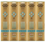 Gonesh Incense Sticks Extra Rich Collection - Ocean 5 Packs (100 Total). Fixed Price $13.56.
