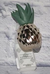 Bath & Body Works Pineapple Succulent Wallflowers Holder Plug Diffuser Gold New. Fixed Price $17.95.