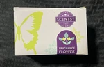 New - Scentsy Aloe Water & Cucumber Fragrance Flower. Fixed Price $32.00.