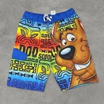 Scooby Doo Youth Rainbow Color Character Printed Swim Wear Shorts Size 14/16. Fixed Price $18.00.