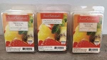 3 Pks Scentsationals Tropical Fiesta Scented Wax Melt Cubes 2.5 Oz Rare Nos. Fixed Price $26.88.