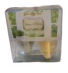 Bath & Body Works Renew Refresh Wallflower Refill Bulbs *2 Pack*. Fixed Price $18.00.
