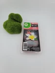 Air Wick Virgin Islands Wax Melts 8 3.1 Oz Tropical Plumeria Honesuckle. Fixed Price $14.00.
