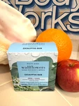 New! Bath & Body Works Eucalyptus Rain Wallflowers Refills 2-PACK (nib). Fixed Price $12.95.