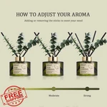 Airkeep Gardenia Reed Diffuser Set Essential Oil. Fixed Price $34.99.
