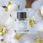 Car Air FRESHENERS,45ML,CAN Be Used For 6MONTHS,MADE With Natural Plant Extracts. Fixed Price $33.59.