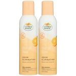 Natural Odor Eliminating Air Freshener Spray, Orange Blast, 6-OUNC. Fixed Price $18.90.