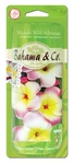 Bahama & Co. Scented Flower Necklace Car Home Odor Eliminating Air Freshener. Fixed Price $16.60.