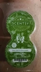 Scentsy Authentic Pods Twin Pak Pack Sea Salt & Avocado Made Usa. Fixed Price $12.00.
