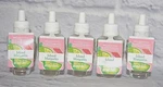 5 Bath & Body Works Wallflower Home Fragrance Oil Bulb Refill Island Margarita. Fixed Price $29.99.