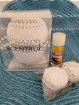 Bath & Body Works Slatkin Scentbug Fan, Refill Pads And Essential Oil Gift Set. Fixed Price $149.95.