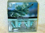 2 Bath & Body Works Evergreen Wallfowers Plug In Oil Refill Bulbs Limited. Fixed Price $18.88.