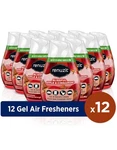 Renuzit Oz. Apple Cinnamon Solid Air Freshener Dia 03674 Pack Of 12. Fixed Price $36.99.