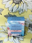 2 New Bath & Body Works Cotton Candy Boardwalk Wallflower Refill Bulbs. Fixed Price $16.95.