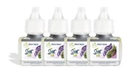 Warm Spice Plug In Air Freshener, 4 Scented Oil Refills. Fixed Price $42.14.
