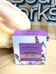 New In Box! Bath & Body Works Lavender Vanilla Wallflowers 2-PACK 0.8 Oz. Fixed Price $12.90.