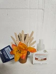 Yankee Candle Scentplug Diffuser Potted Plant Sweet Vanilla Horchata Refill. Fixed Price $8.99.