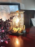 Scentsy Antler Lodge Warmer New. Fixed Price $49.99.
