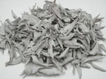 1/2 Pound Loose Dried California White Sage Leaves Incense #T-713A. Fixed Price $10.00.