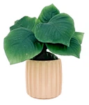 Bath & Body Works Pink Planter Houseplant Wallflower Plug (does Not Light Up). Fixed Price $26.04.