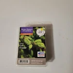 Better Homes & Gardens Limited Edition Fresh Cut Frasier Value Pack 5OZ 12 Cubes. Fixed Price $9.99.