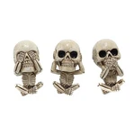 3PCS Air Freshener Diffusers Bone Skull Perfume Car Auto Vent Fragrance Clip. Fixed Price $16.99.
