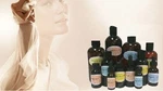 Pure Aroma Essence Fragrance Oil Diffuser Perfume Candles Spa You Pick Size !. Fixed Price $25.48.