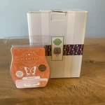 Scentsy Cut It Out Mini Wall Plug-in Halloween Pumpkin Warmer New Scary Good Bar. Fixed Price $29.99.