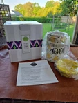 Scentsy When Life Gives You Lemons Summer Wax Warmer New In Box Authentic Home. Fixed Price $29.99.