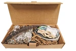 Sarimoire White Sage Smudge Kit - Abalone Shell, 3 Sticks New In Open Box. Fixed Price $17.95.
